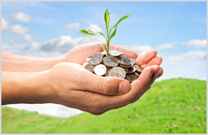 Hands cupping a mound of coins with a green sprout growing out of the mound